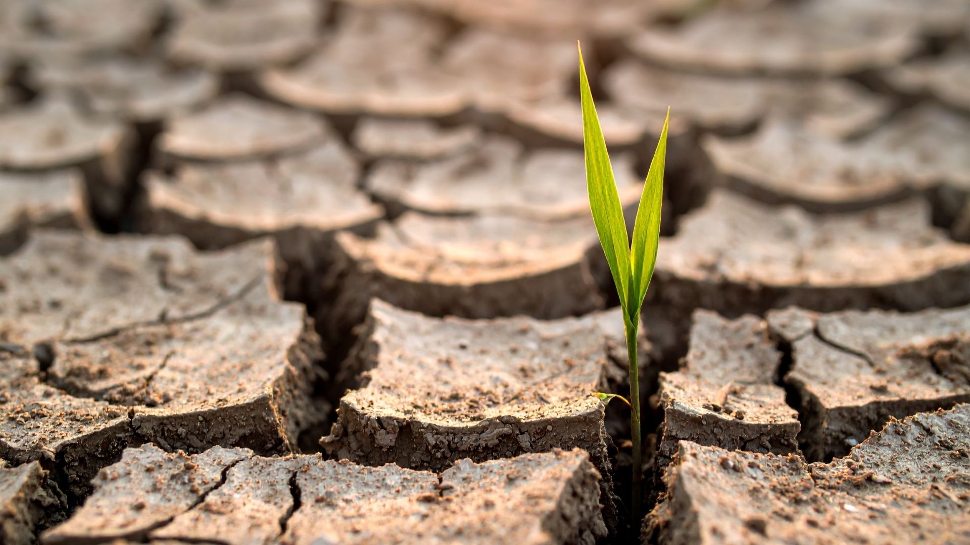 Loi Climat et DTG